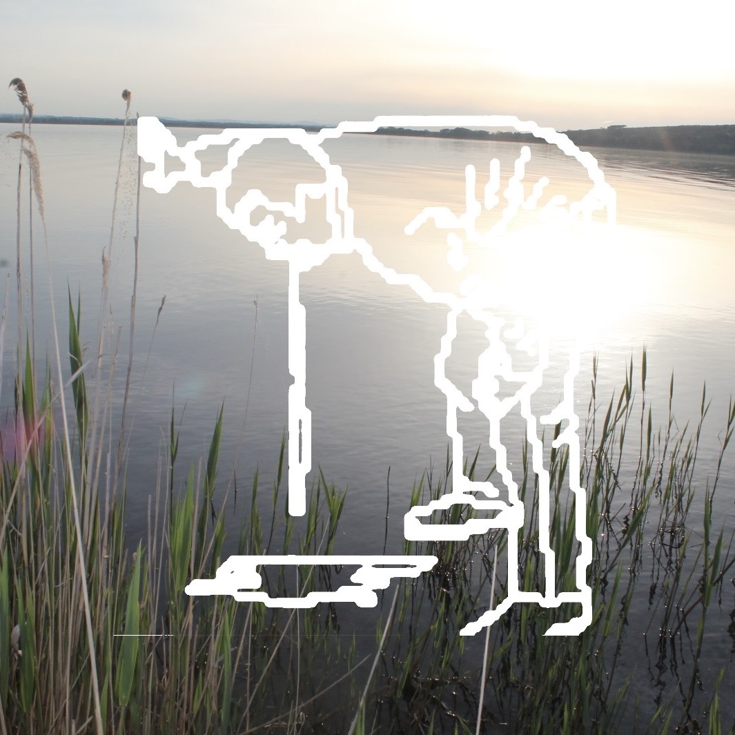 tommi e moth. pubblicano “vomitare”