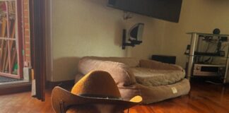 “Pepsi & Playstation”: il nuovo singolo dei leimannoia