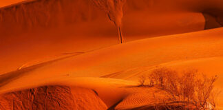 THE WINDFALL: fuori il nuovo singolo “TAJAWL”