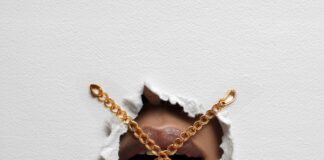 Amill Leonardo pubblica “NHMPDM” in collaborazione con Laïoung