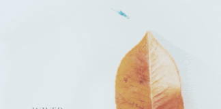 Riccardo Roveda pubblica il primo singolo tratto dal nuovo album “Escaping Rules”