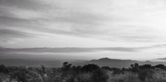 THE NIRO: “Ulisse” anticipa il nuovo album “La Nascita”