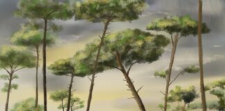 Rigo: “Temporale estivo” è il suo nuovo singolo in feat. con Paco