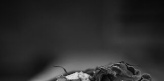 “Taboo”: il nuovo singolo del duo SpinRockets