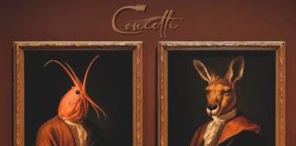 Concetti: fuori con il singolo “Gambero e Canguro”