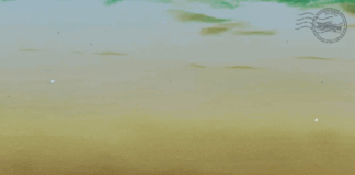 SNOK BROWN & DJ PANINI presentano il nuovo album “30100”