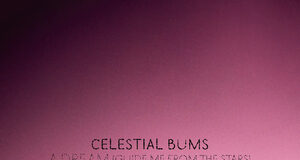 I Celestial Bums pubblicano il nuovo singolo “A Dream”