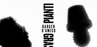 DARGEN D’AMICO: esce il nuovo brano “Pianti Grassi”