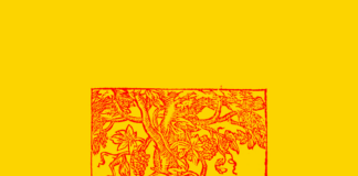 “BYE BYE SAMURAI/VITE” è il nuovo singolo di SANDRI