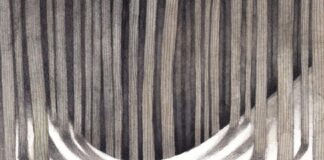 “Tu verrai d’Estate” è il nuovo album di Salvo Scucces