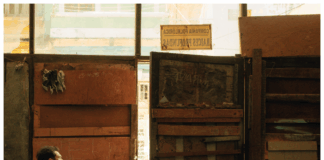 WALTER RICCI pubblica il suo nuovo album “Neapolis Mambo”