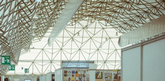 Novegro Vinile Expo: il rito analogico che resiste al tempo