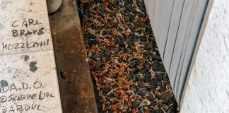 CARL BRAVE torna con con l’EP “MOZZICONI”