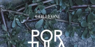 “Portulaca”: il primo album di COLLEONI
