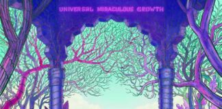 Duck Baleno: fuori il nuovo album “Universal Miraculous Growth”