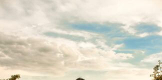 Elisa Sandrolini pubblica il nuovo singolo “Following the Breeze of You”