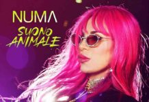 “SUONO ANIMALE”: il nuovo singolo di NUMA PALMER
