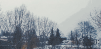 Axel Flóvent: in arrivo il suo nuovo ep ‘Fleeing The Shore’