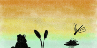 FRANCESCO PINTUS: “Nitidezza” è il nuovo singolo