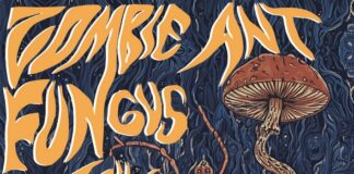 Atom Lux torna con il singolo “Zombie Ant Fungus Strike”