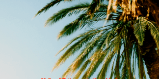 “Melina / Tutto questo ti ucciderà” è il nuovo doppio singolo di Mammaliturchi