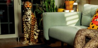 EMSISII pubblica il suo nuovo singolo “TIGRE”