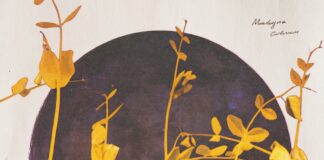 Taxology: “Mandragora Caulescens” segna il debutto discografico