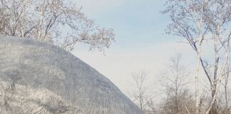 “ANIMALERIE” è il nuovo disco di SANDRI