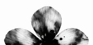 Edoquarto: fuori il debut EP “Free Fall, Summer Tales”