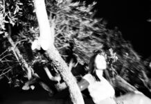 Federica Carta: fuori il nuovo singolo “Stupido dolore”