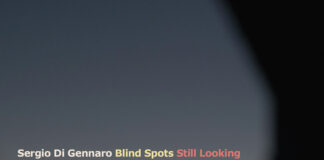 “Blind Spots – Still Looking”: il secondo disco di Sergio Di Gennaro