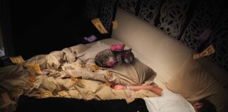 WEIRD: “FALLI TORNARE INDIETRO” è il nuovo singolo