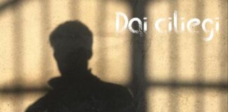 Apalis: “Dei ciliegi” è la title track dell’album d’esordio